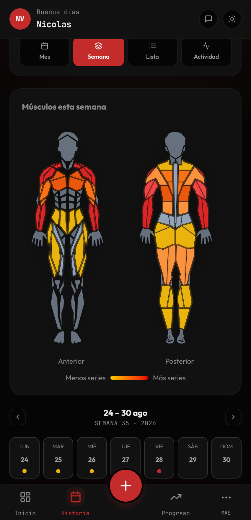Mapa muscular